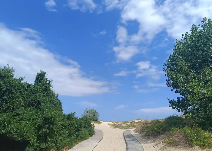 Aquamarin B - Sloneczny Brzeg-nesebyr Appartamento Sunny Beach